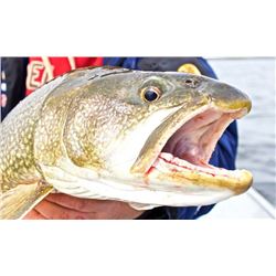 Gangler's North Seal River Lodge 4 Day Trip for 2 - $10,590 / Exhibitor