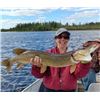 Image 5 : Gangler's North Seal River Lodge 4 Day Trip for 2 - $10,590 / Exhibitor