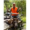 Image 1 : Unguided Colorado Elk, Mule Deer or Bear Archery Hunt for 1 Hunter - $2,400