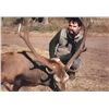 Image 2 : Argentina Free Range Red Stag for 1 Hunter - $7,000