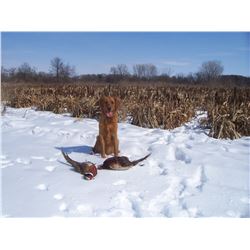 2020/21 Exclusive Hunting Club Membership plus 20 Bird Guided Pheasant Hunt & 5-Stand for 4 - $2,750