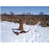 Image 1 : 2020/21 Exclusive Hunting Club Membership plus 20 Bird Guided Pheasant Hunt & 5-Stand for 4 - $2,750