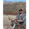 Image 2 : Southern Arizona Coues Deer - $4,100