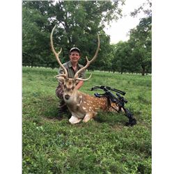 Texas Big Game Hunt for 1 Hunter - $3,400