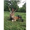 Image 1 : Texas Big Game Hunt for 1 Hunter - $3,400