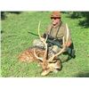 Image 2 : Texas Big Game Hunt for 1 Hunter - $3,400