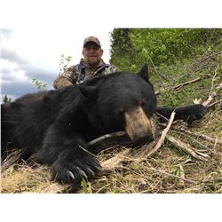 British Columbia Spring Black Bear for 2 Hunters - $4,500 / Exhibitor