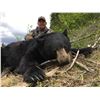 Image 1 : British Columbia Spring Black Bear for 2 Hunters - $4,500 / Exhibitor