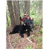 Image 3 : British Columbia Spring Black Bear for 2 Hunters - $4,500 / Exhibitor