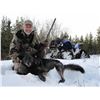 Image 4 : 6-Day Moose/Black Bear/Mule Deer/Whitetail/Wolf/Wolverine/Grouse Hunt for 1 - $9,000 / Exhibitor