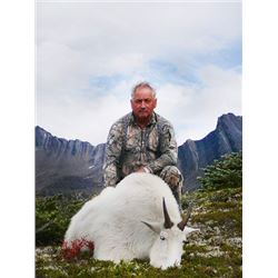 Mountain Goat Hunt in British Columbia