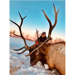 Alberta Elk Hunt