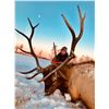 Image 1 : Alberta Elk Hunt