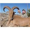 Image 3 : Choice of Nilgai, Scimitar Oryx, Aoudad or Axis Deer for One Hunter