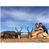 Image 1 : Kudu/Springbok Hunt + Cape Vacation for 2 Couples