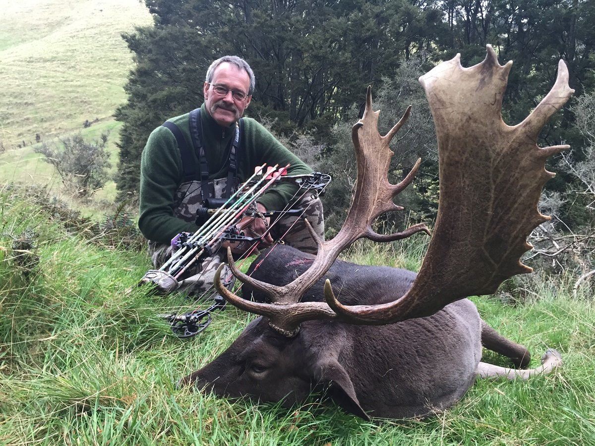 Red Stag Hunt New Zealand