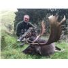 Image 3 : Red Stag Hunt New Zealand