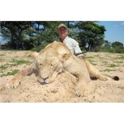 7 Day Lioness Hunt in the Kalahari