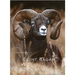 2020 SCI Artist of the Year-Mountain Ram-the new World Record-Signed Limited Edition