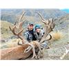 Image 1 : New Zealand 4 Day 5 Night Red Stag & Arapawa Ram Hunt for up to 4 Hunters