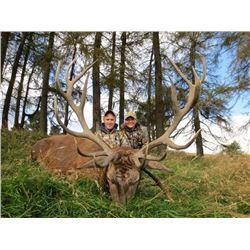 Scotland Red Stag Hunt