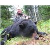 Image 2 : Newfoundland Spring Black Bear Hunt for 2