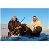 Image 1 : Greenland Spring Musk Ox Hunt for 1
