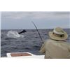 Image 1 : Panama Sportfishing Trip for 4