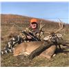 Image 1 : South Dakota Trophy Whitetail Deer, Merriam's Turkey and Coyote Combo