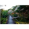 Image 1 : Belize Jungle Lodge Adventure for 2