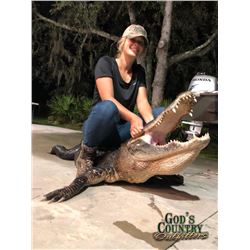 Florida Alligator & Hog Combo Hunt