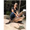 Image 1 : Florida Alligator & Hog Combo Hunt