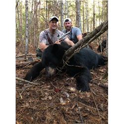 Maine Fall Baited Black Bear Hunt for 1