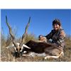 Image 1 : Argentina Trophy Blackbuck Hunt for 2 Hunters
