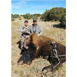 New Mexico Bison Hunt for 1 Hunter & 1 Observer