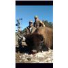 Image 7 : New Mexico Bison Hunt for 1 Hunter & 1 Observer
