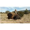 Image 8 : New Mexico Bison Hunt for 1 Hunter & 1 Observer