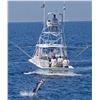 Image 3 : Guatemala Pacific Ocean Billfishing Trip for 2 Anglers