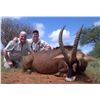 Image 1 : South Africa Roan & Plains Game Safari with Game Capture and Fly Fishing for 2