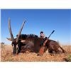 Image 3 : South Africa Roan & Plains Game Safari with Game Capture and Fly Fishing for 2