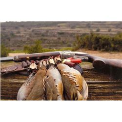 Spain Red-Legged Partridge Shooting and Sightseeing Package for 1 Hunter & 1 Observer