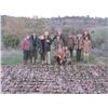 Image 2 : Spain Red-Legged Partridge Shooting and Sightseeing Package for 1 Hunter & 1 Observer