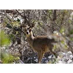 South Africa Backpacking/Luxury Tent Camp "Tiny Ten" Intro Safari for 1