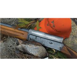 Alabama Quail Hunt for 4 with Lodging & Unlimited Harvest