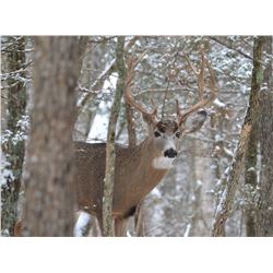 Missouri Whitetail Hunt for 1