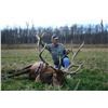 Image 6 : Wisconsin Preserve Whitetail Deer or Elk Hunt for 1 Hunter & 1 Observer