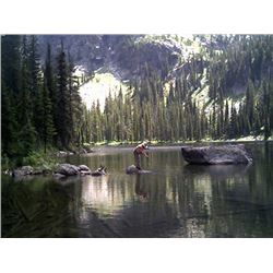 Idaho Summer Wilderness Horseback Fishing Trip for 1