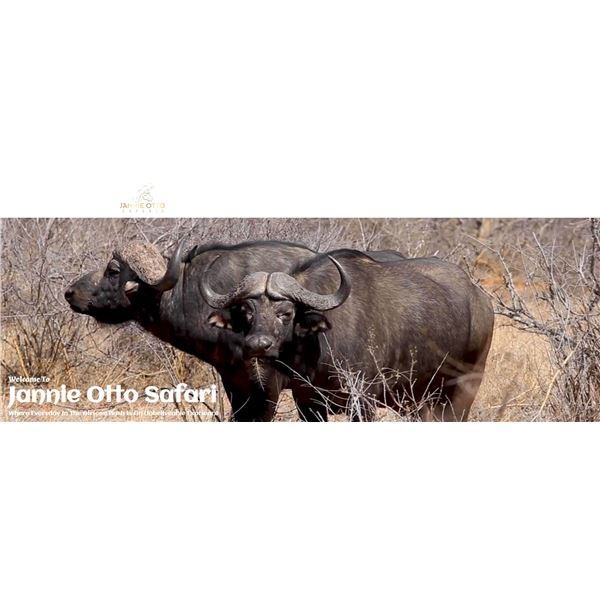 LA21-07 - Spiral Horn Hunt, South Africa