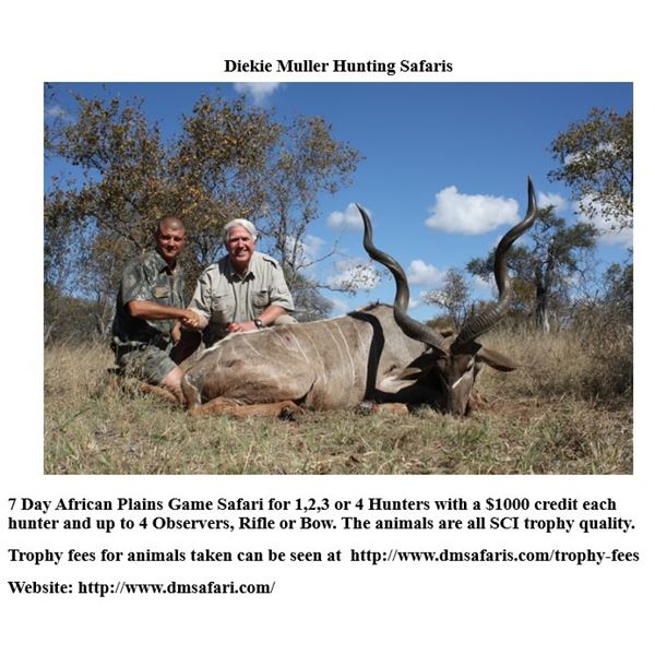 LA21-17 - Dieke Muller - African Plains Game Safari