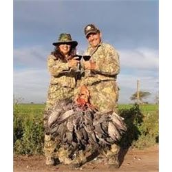 HP WINGSHOOTING ADVENTURES